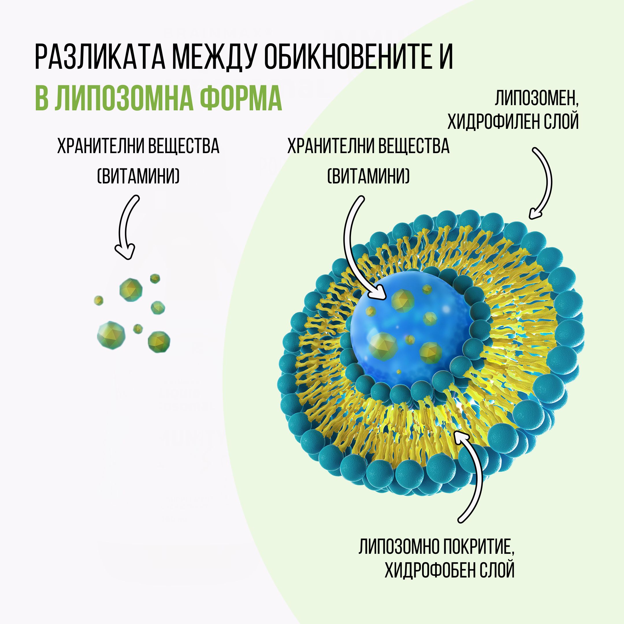(Bulharština) (2)_1
